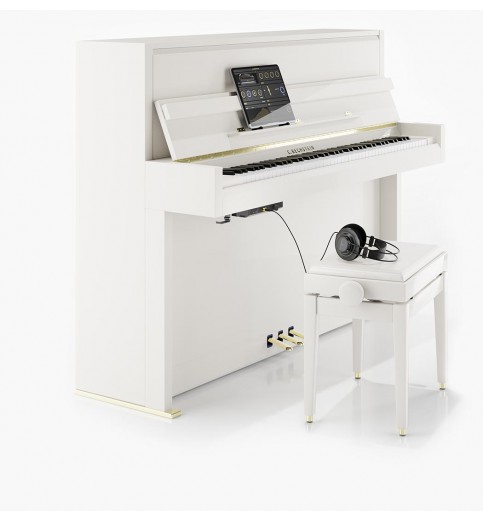 W. Hoffmann Vision V2 Vario